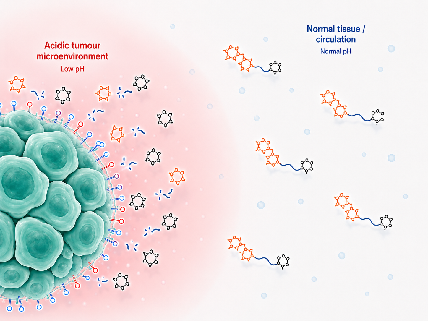 Logic-gated cleavage mechanism controlling payload release outside tumour environment